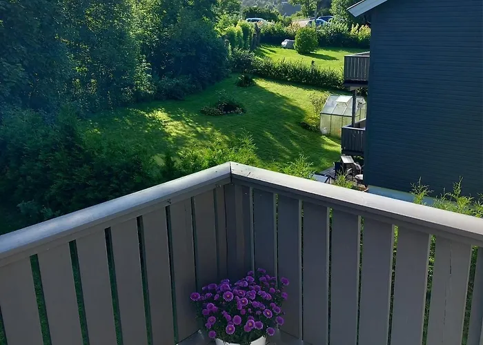 Daire Functional With Short Distance To Everything